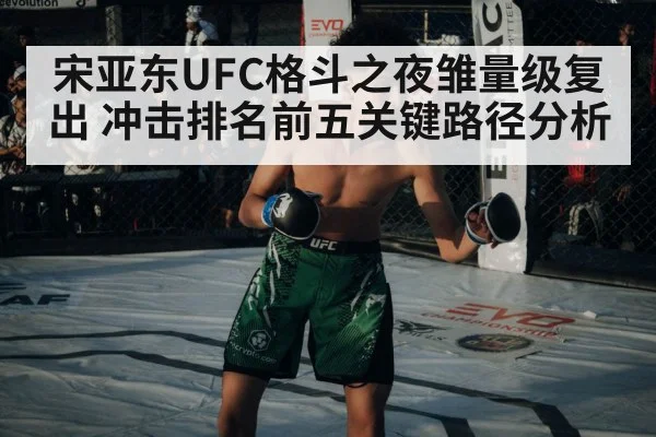 UFC octagon fight